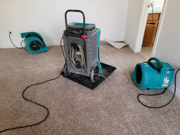 Best Sewage cleanup and water damage restoration  in Tappan, NY