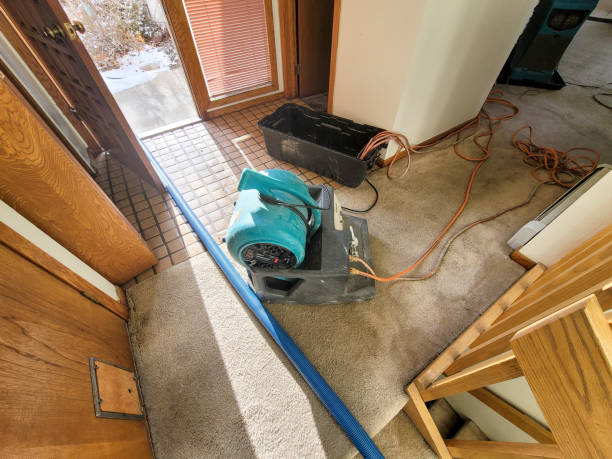 Best Flood restoration services  in Tappan, NY