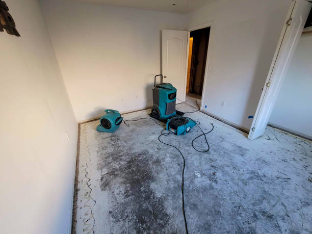 Best Carpet water damage restoration  in Tappan, NY