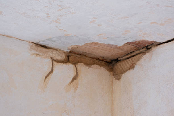Best Ceiling water damage repair  in Tappan, NY