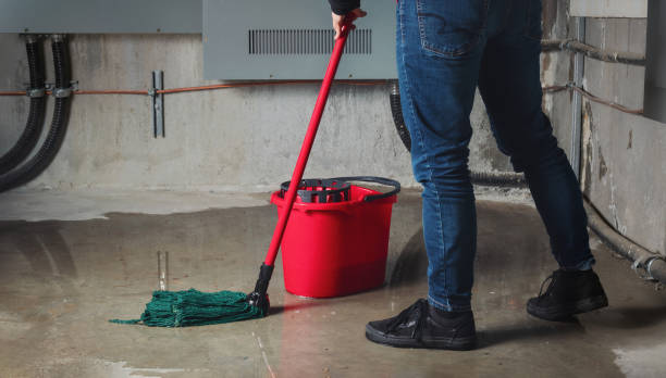 Best Water damage cleanup near me  in Tappan, NY