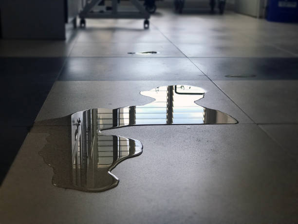 Best Water damage restoration specialists  in Tappan, NY