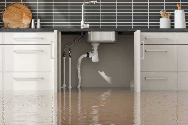 Carpet water damage restoration in Tappan, NY