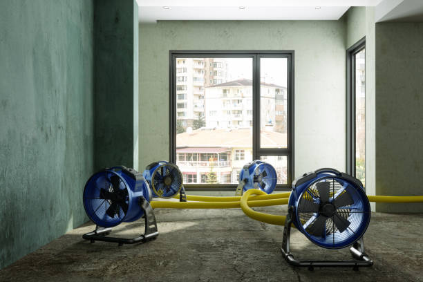 Best Water damage restoration near me  in Tappan, NY